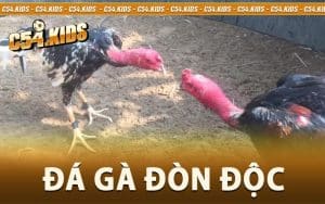 Đá Gà Đòn Độc